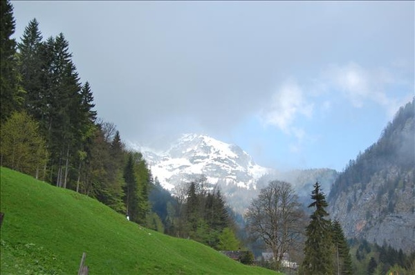 CSC_0532