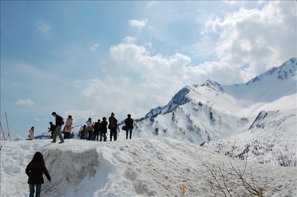 繼續看雪