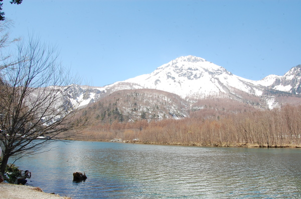 DSC_0797.JPG