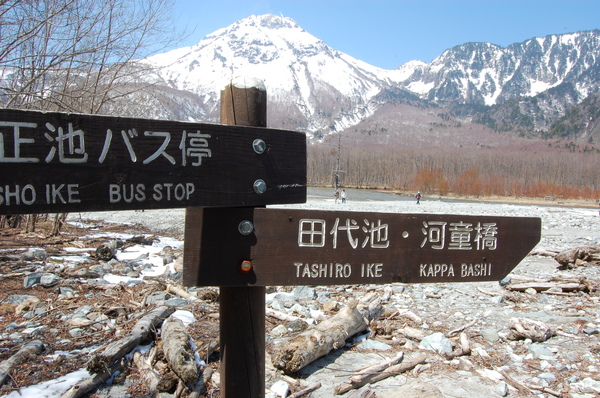 DSC_0800.JPG