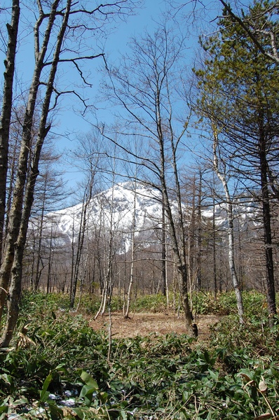 DSC_0815.JPG