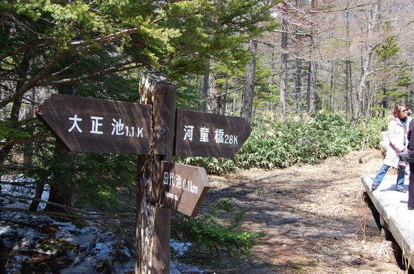 DSC_0816.JPG