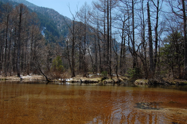 DSC_0824.JPG