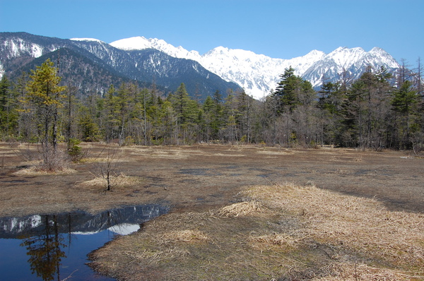 DSC_0821.JPG