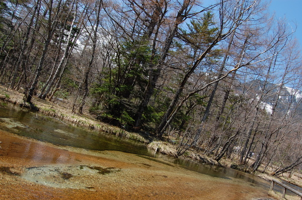 DSC_0825.JPG