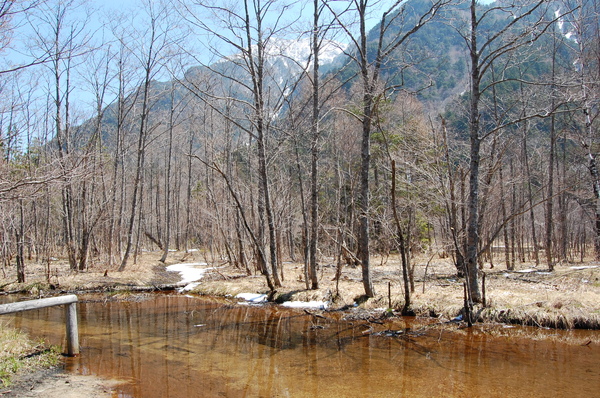 DSC_0827.JPG