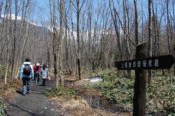 DSC_0834.JPG