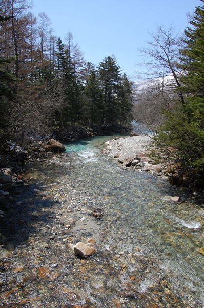 DSC_0849.JPG