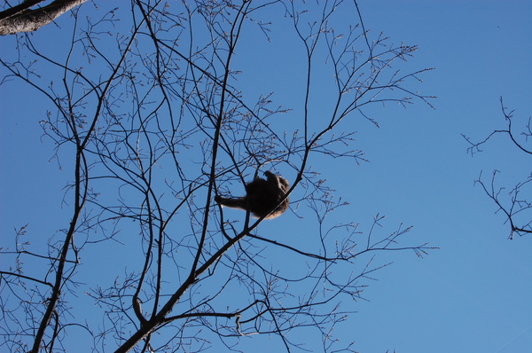 DSC_0855.JPG