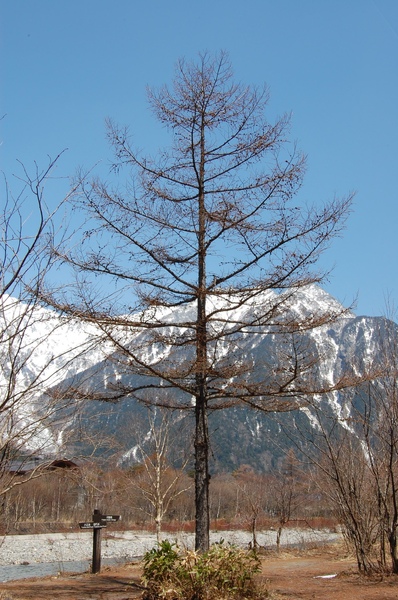 DSC_0868.JPG