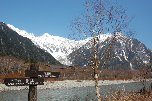 DSC_0869.JPG