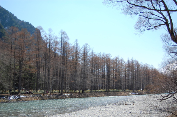 DSC_0879.JPG