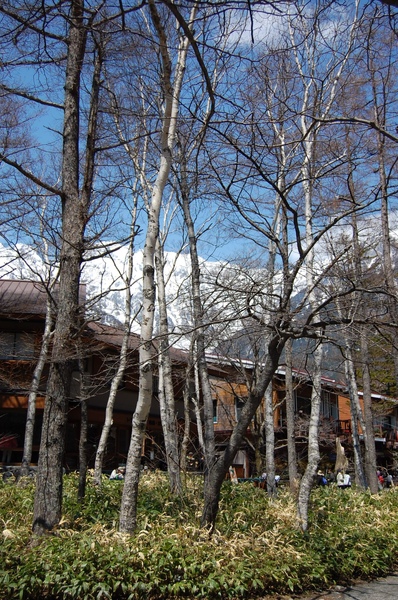 DSC_0880.JPG