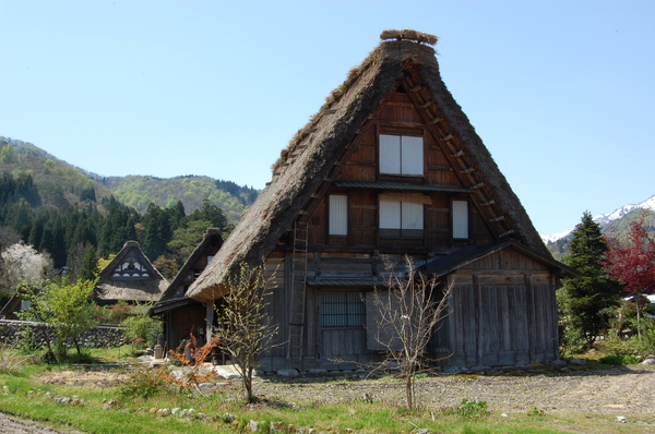 DSC_1076.JPG