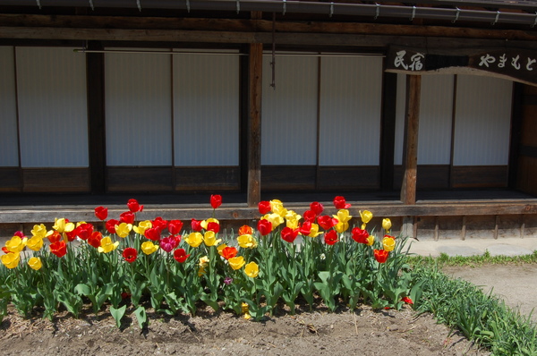 DSC_1079.JPG