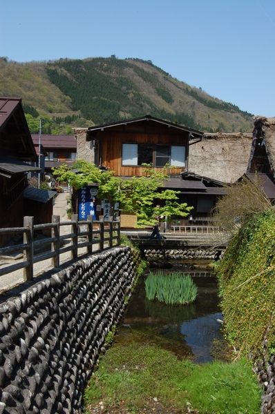 DSC_1086.JPG