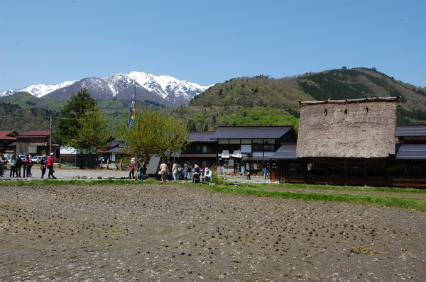 DSC_1092.JPG