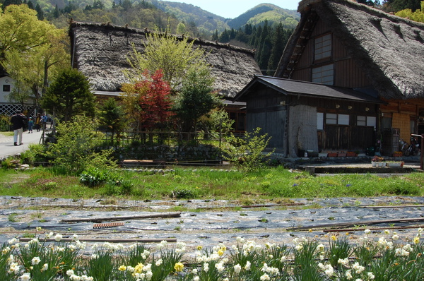 DSC_1095.JPG