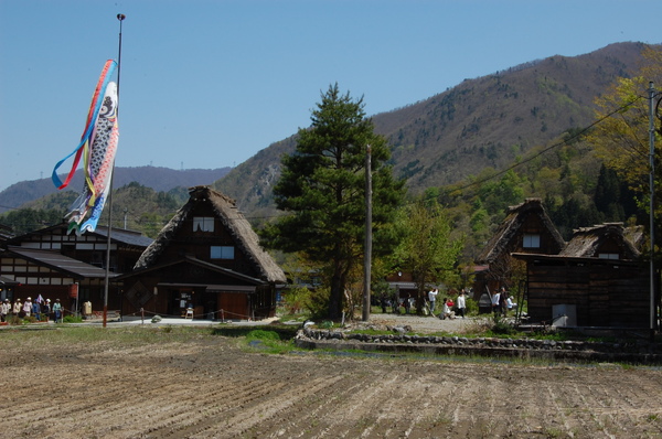 DSC_1096.JPG