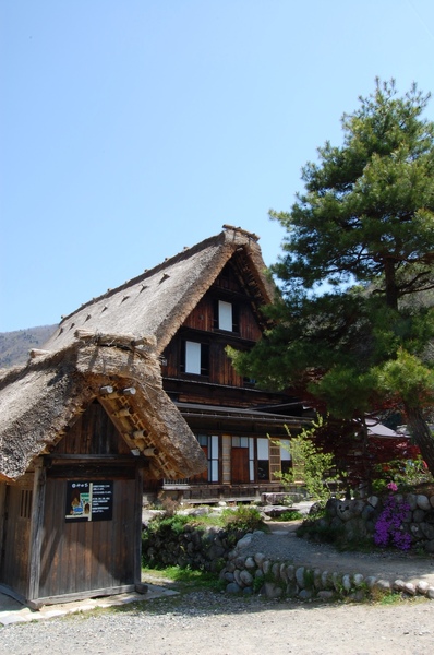 DSC_1130.JPG
