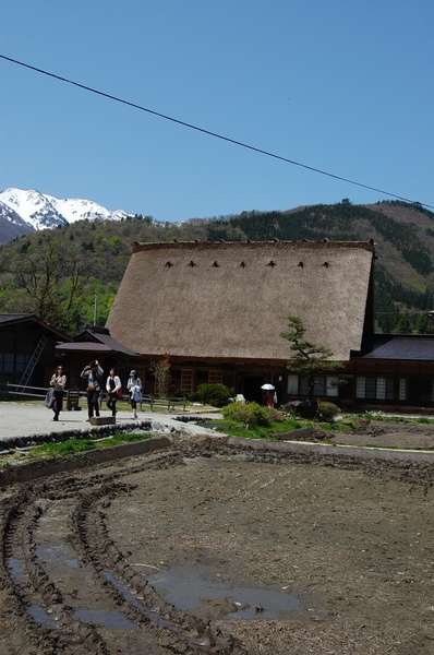 DSC_1135.JPG