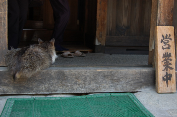 DSC_1148.JPG