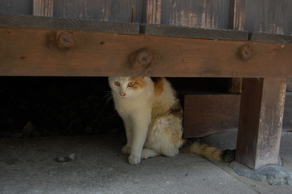 DSC_1151.JPG
