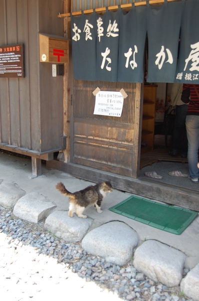 DSC_1165.JPG