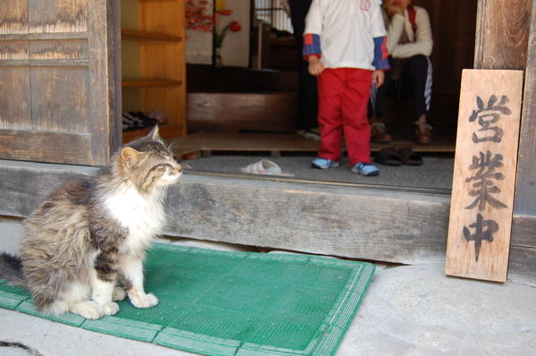 DSC_1169.JPG