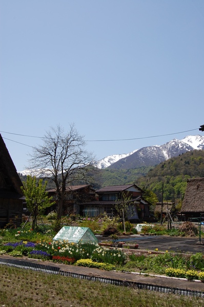 DSC_1181.JPG
