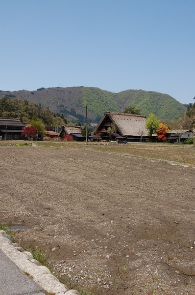 DSC_1182.JPG