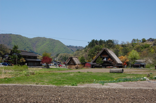 DSC_1184.JPG