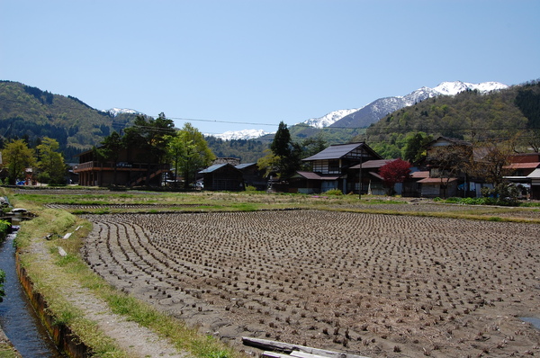 DSC_1185.JPG