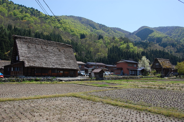 DSC_1186.JPG