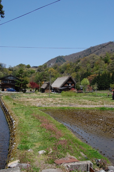 DSC_1187.JPG