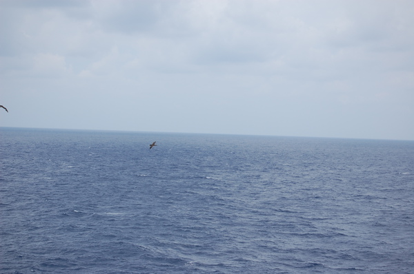 DSC_1251.JPG
