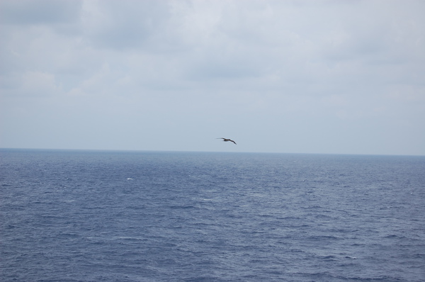 DSC_1252.JPG