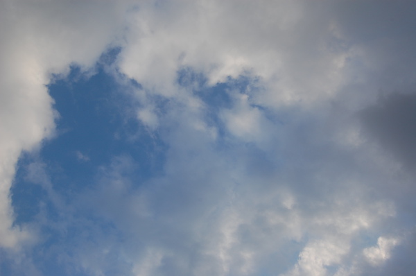 DSC_1286.JPG