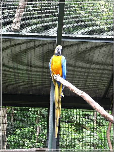 20140503 森林鳥花園14