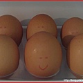 搞笑的蛋蛋-4