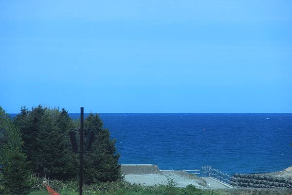 IMG_4790.JPG