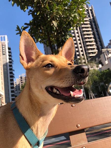 【高雄咖啡】TiARA cafe有實體店面嘍! 自選自烘的咖