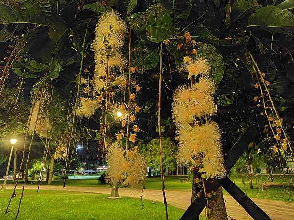 【輕手機開箱】SHARP AQUOS sense8 防水防摔 【輕手機開箱】SHARP AQUOS sense8 防水防摔