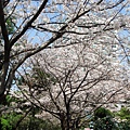 DSC09965 (複製).JPG