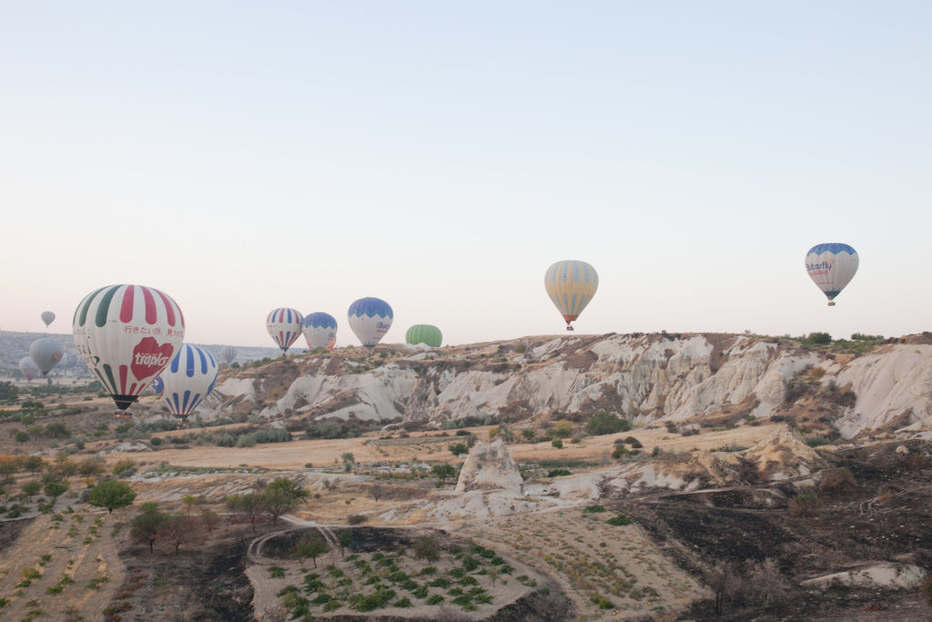 IMG_3001Turkey balloons