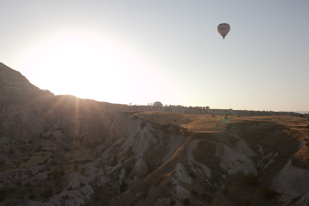 IMG_3061Turkey balloons