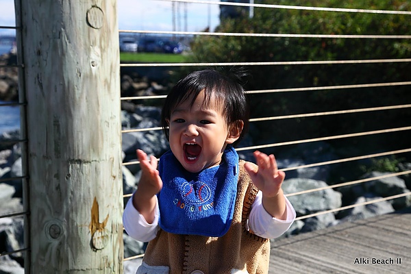 Alki Beach 18.JPG