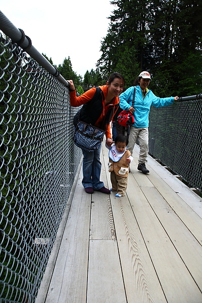 Vancouver-capilano bridge077.JPG