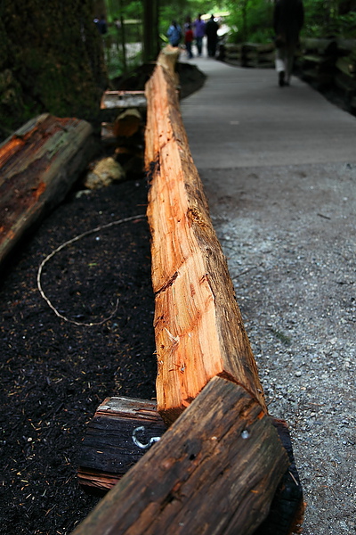 Vancouver-capilano bridge081.JPG