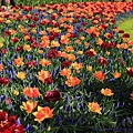 nEO_IMG_IMG_1304